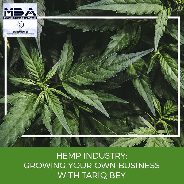 MBA 3 | Hemp Industry